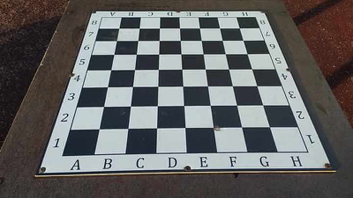 Россия вошла в состав Азиатской шахматной федерации: Решение принято в ОАЭ