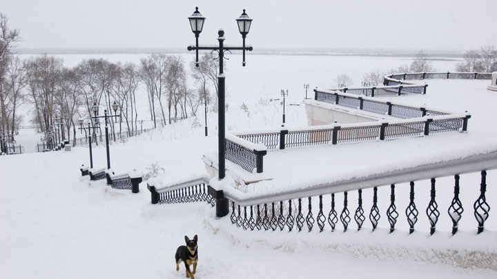 У Хабаровска появилась своя Алёнка. Инфернальный ужас добрался до Дальнего Востока