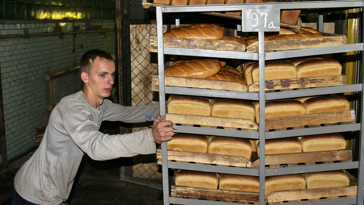Рекордный урожай пшеницы выльется в подорожание хлеба? Эксперты предупредили граждан