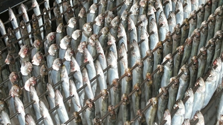 В России вскрылся нонсенс с рыбными консервами в магазинах