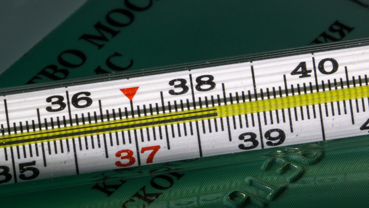 Всего пять компонентов: Названы лучшие народные средства от простуды