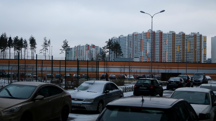 Жители Подмосковья смогут бесплатно парковаться на платных парковках в праздники