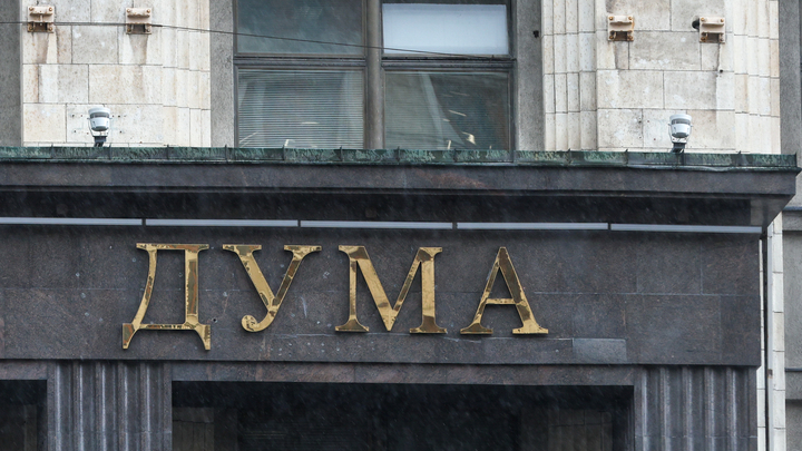 С мигрантами кошмар, но де-юре всё по закону. Упрёки к Госдуме парировал Делягин: Пардон, коллеги