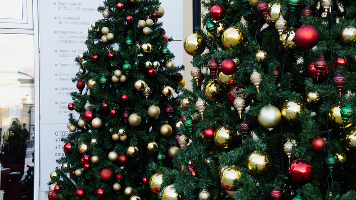 В Сочи отказались от массовых гуляний и фейерверков в новогодние праздники