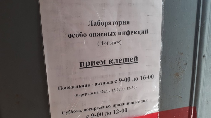 40 клещей присосались к нижегородцам с начала года