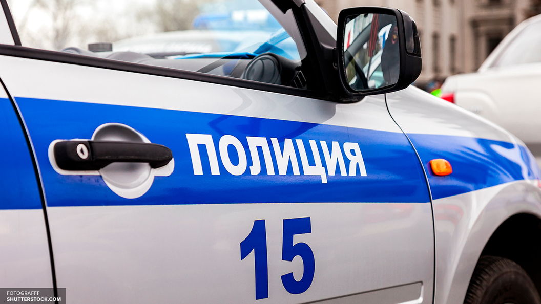Выкинувший человеческие останки в контейнер следователь вел дело о смертельном ДТП Выкинувший человеческие останки в контейнер следователь вел дело о смертельном ДТП