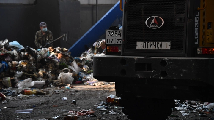 В Архангельске два месяца остров не очищают от мусора