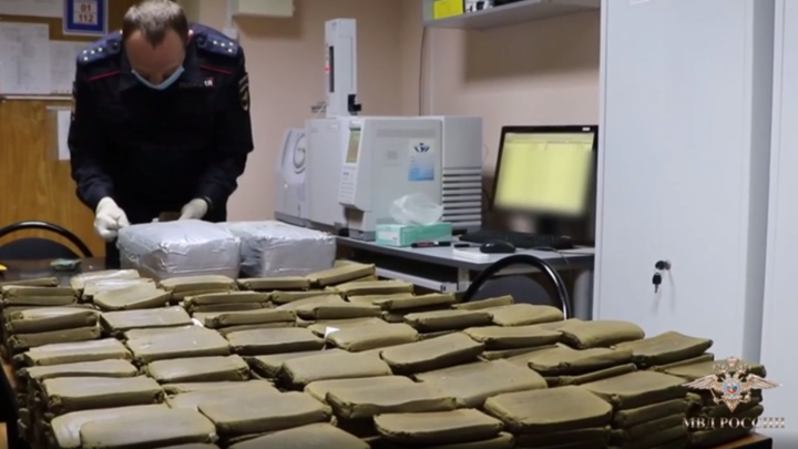 У жителя Владимирской области изъяли 52 килограмма гашиша