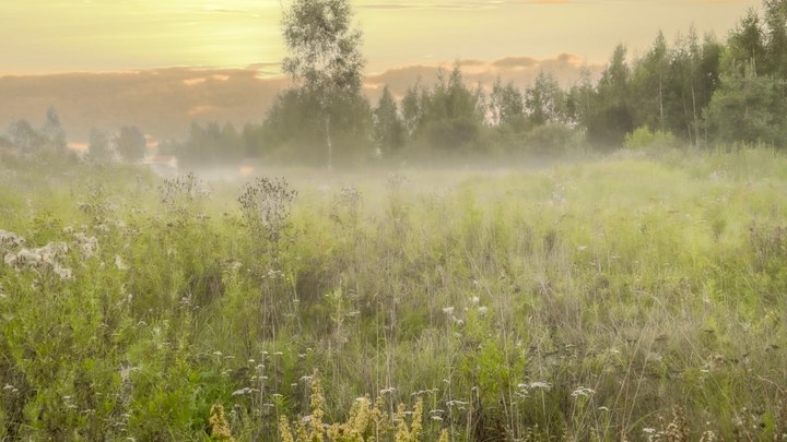Народные приметы на 30 июля 2024: что можно и нельзя делать в Маринин день