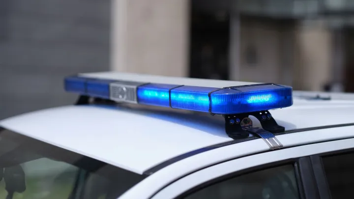 Кошмар в конюшне: задержан мужчина, изуродовавший лошадей кислотой