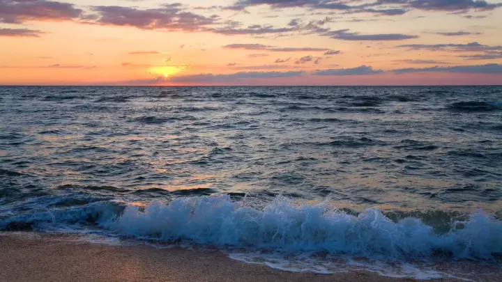 Телефон пропавшего в Турции пловца Свечникова изучило следствие: Результаты озвучены только теперь