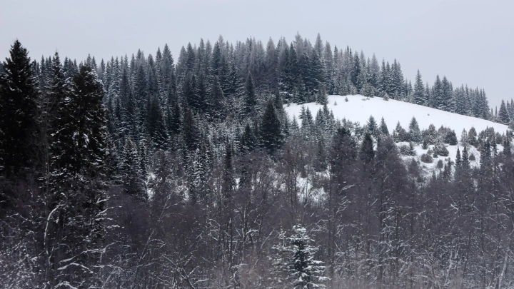 Странно надеяться: стало известно о последнем сообщении Ирины Усольцевой