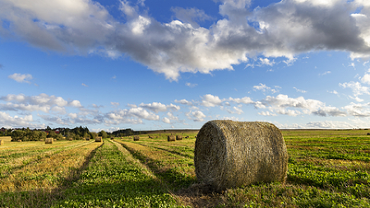 В этот день надо быть тише воды, ниже травы: что нельзя делать 30 июня