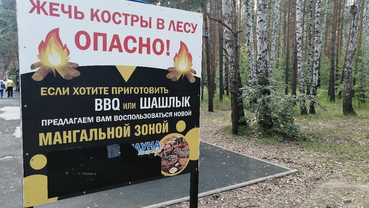 Челябинск окружили природные пожары