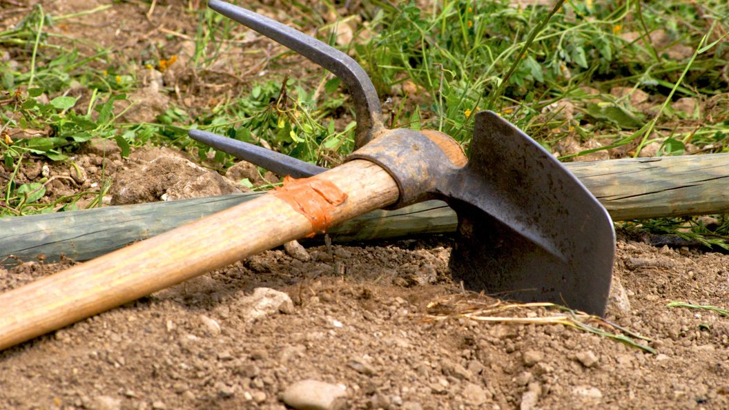 Помпеи вулкан везувий находки. Окаменелые кости мамонта. Денисова пещера на алтае раскопки. Денисова пещера человек денисовец. Скинуть со скалы.