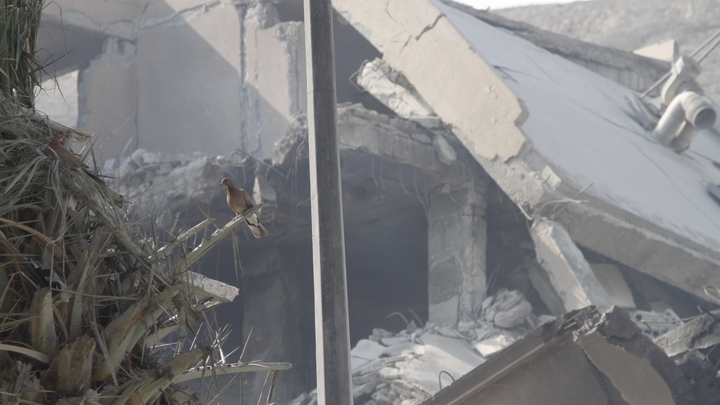 Беззащитных не бьём: Кто категорически отказал США бомбить Йемен?