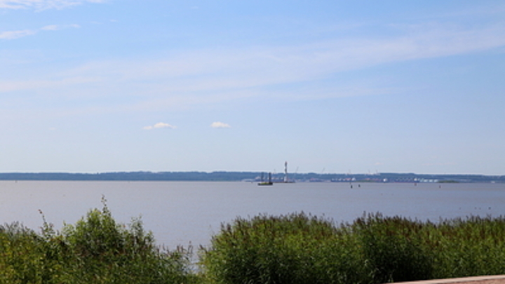 На берег Финского залива выбросило бутылку с запиской от 9-летней девочки из Австрии