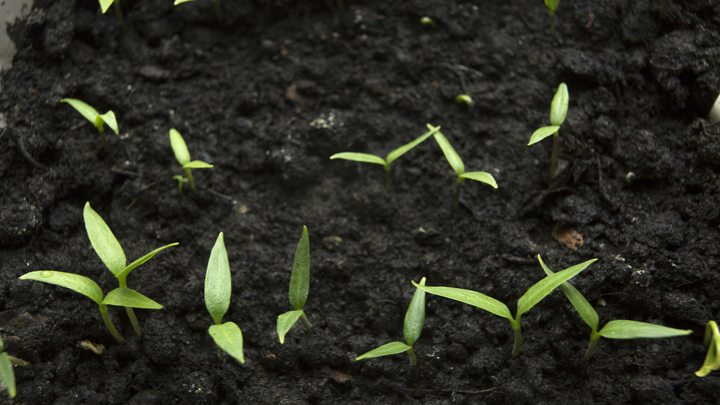 Какие заболевания обостряются весной: Врач-терапевт назвала главные опасности
