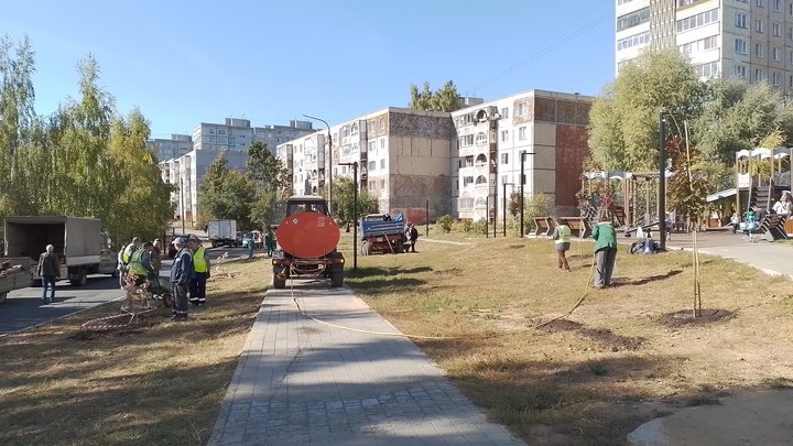 Сквер на Сперанского засадят бересклетом и украсят бетонными клумбами