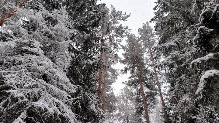 Что строго запрещено делать 11 февраля 2025, чтобы оставаться здоровым