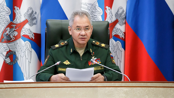 Шойгу: Россия начала проверку боеготовности армии