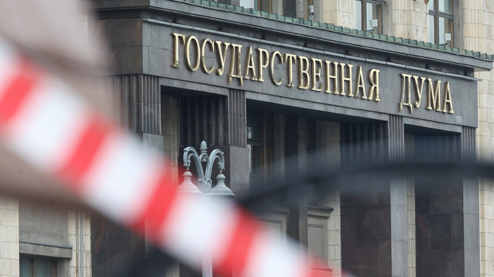 Под угрозой - дети: В Госдуме рассказали о распространении культа смерти и насилия через маркетплейсы