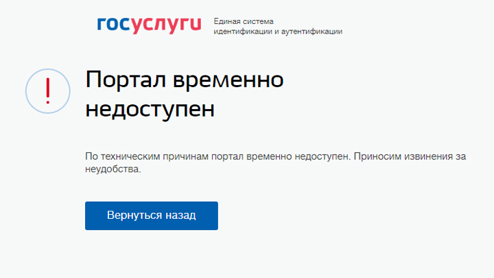 Родители Челябинска не могут прорваться на портал Госуслуги для оформления детских выплат