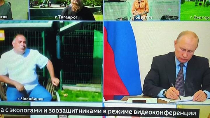 Карен Даллакян лично пригласил Владимира Путина в гости в зооприют в Челябинск