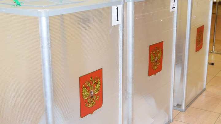 На выборах депутатов Заксобрания Владимирской области будет дистанционное голосование