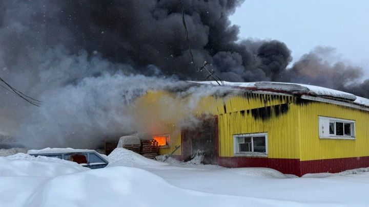 Площадь пожара в пластиковом цеху под Истрой достигла 3700 квадратов