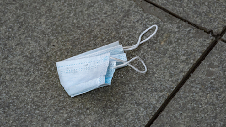 Это шутка?: Слова главы ВОЗ о коронавирусе заставили Онищенко усомниться в его квалификации