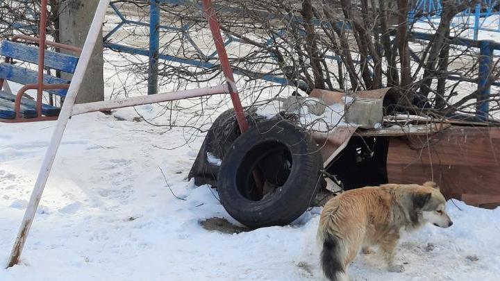 Добродушные жители Каменска-Шахтинского построили собачью будку на детской площадке