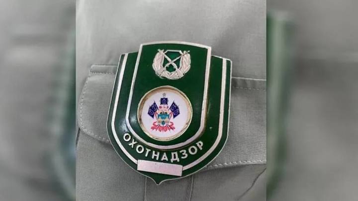 Охота на куниц закончилась огнестрельным ранением: на Кубани в результате выстрела погиб мужчина