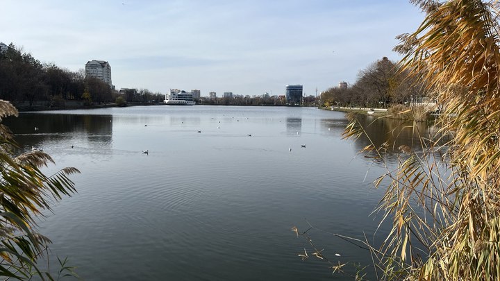 В Краснодаре на Дмитриевской дамбе обнаружено тело неизвестного мужчины