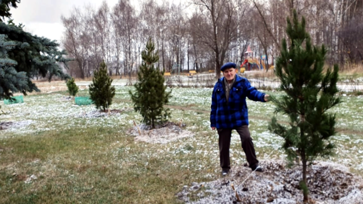 кедровое поле памяти.png