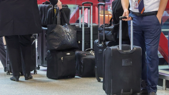 Запрещённый груз в аэропорту Самары: изъято более 130 кг подкарантинной продукции