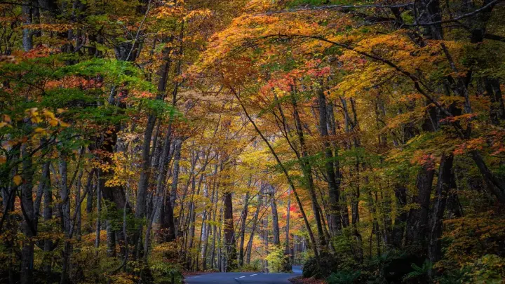 Россию ждёт аномальное похолодание: Заморозки до -6 градусов