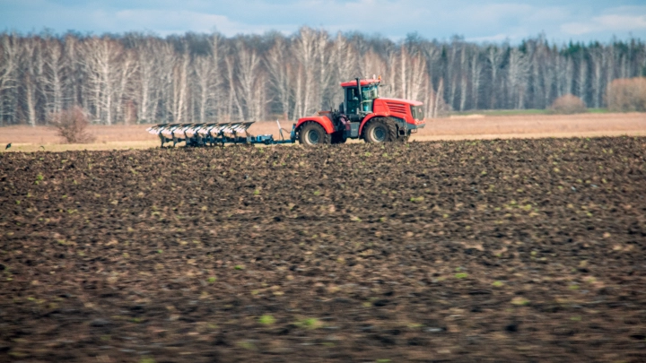 Кабул предложил России афганских мигрантов для работы в агросекторе