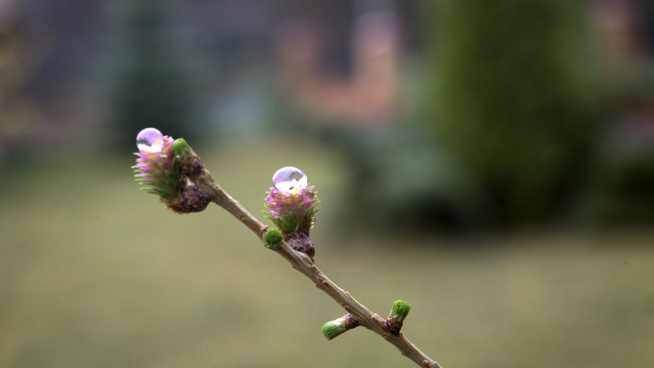 Дом не велик, а присесть не велит: Займитесь уборкой 5 апреля. Что можно и нельзя делать - народные приметы
