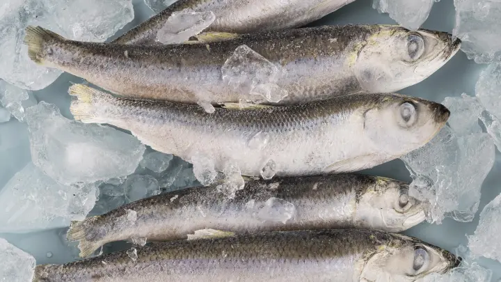 А как же санкции? ЕС закупил морепродукты из России более чем на 700 млн евро