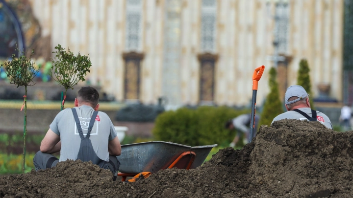 Не болеют и не насилуют: заменить мигрантов роботами предложил сенатор от Зауралья