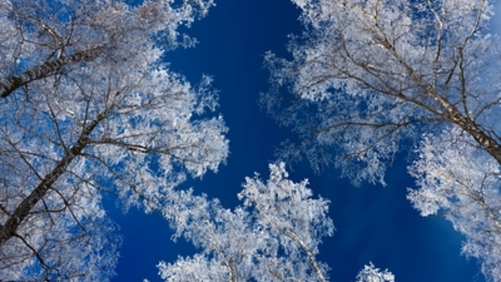 Дворники Подмосковья перешли в режим борьбы с гололёдом