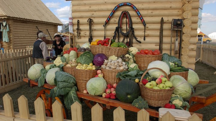 Жители Ногинска смогут закупиться продуктами по доступным ценам на сезонной ярмарке