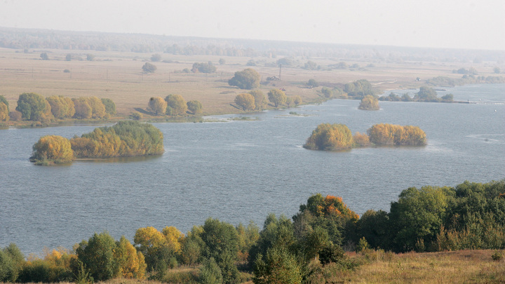 Во Владимирской области рекордно обмелели реки