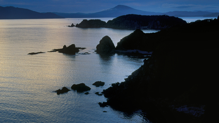 Машины-акробаты и пешеходы на четвереньках: Владивосток сковало льдом. Намертво