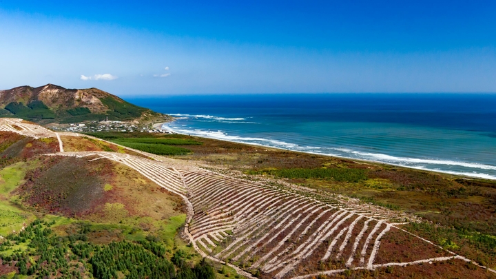 На Сахалине икра стала удобрением для огородов - фото