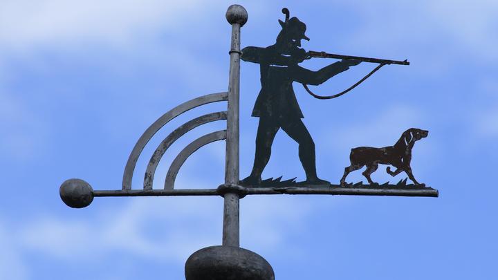 На кого собрался охотиться Билецкий: Ольга Шарий ответила на угрозу лидера украинских нацистов