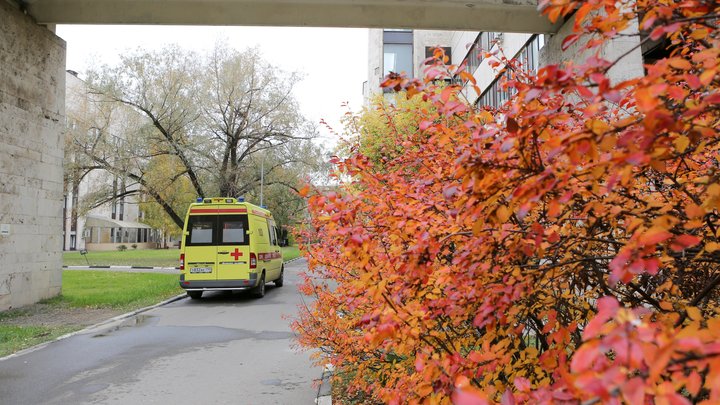 «Ужасное хищение среди медсестёр»: главврач петербургского онкоцентра высказался о «деле онкологов»