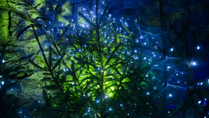 Пять миллионов лет изоляции: уникальные обитатели найдены в пещере Мовиле