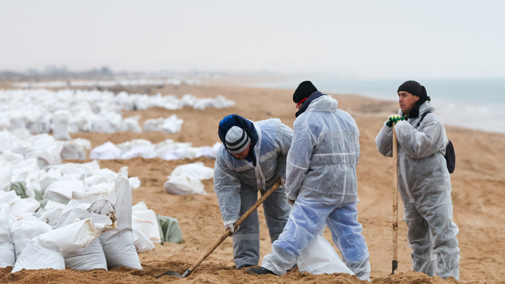 Яна Чурикова снимет фильм о волонтёрах, спасающие пляжи и птиц от мазута
